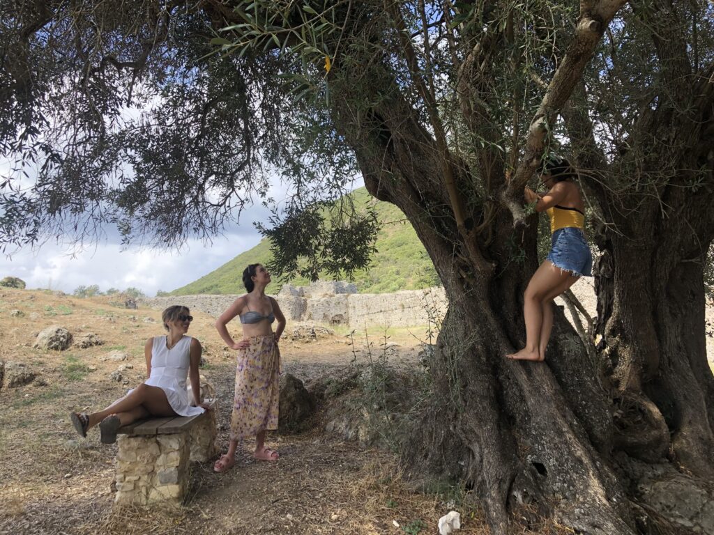 three girls and an olive tree